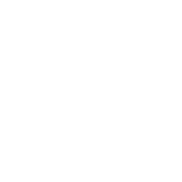 scalable-icon